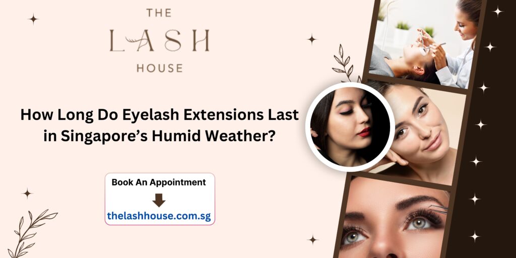 Eyelash Extensions In Singapore
